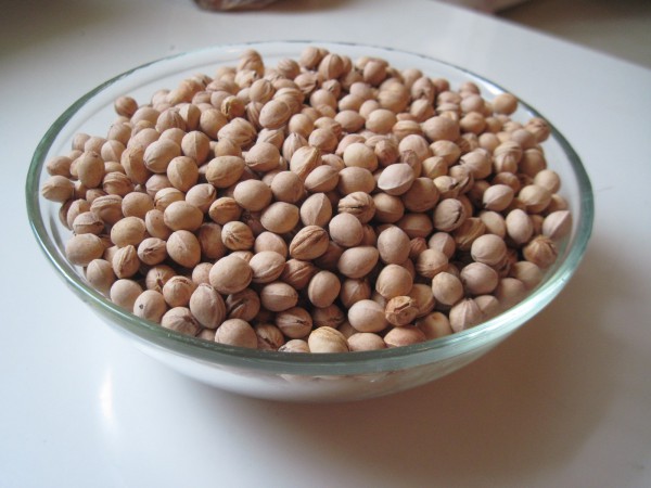 Noyaux de cerises pour faire pousser des photos