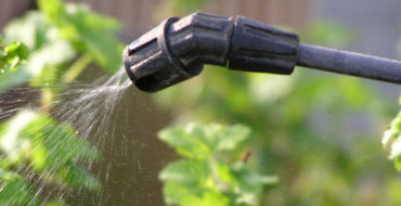 Pulvérisation pêche fluo