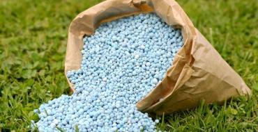 engrais pour cerises photo