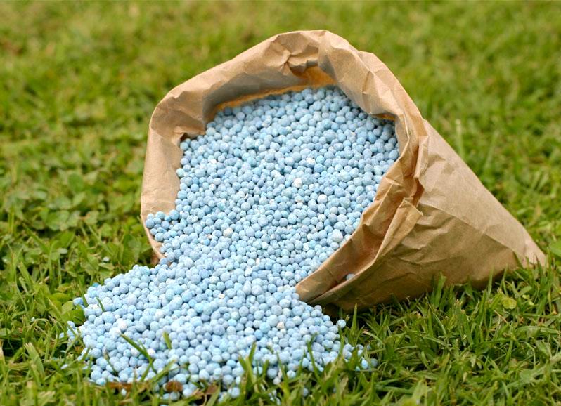 engrais pour cerises photo