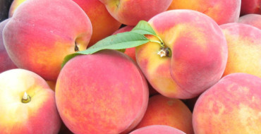 Photo d'anniversaire d'or de pêche