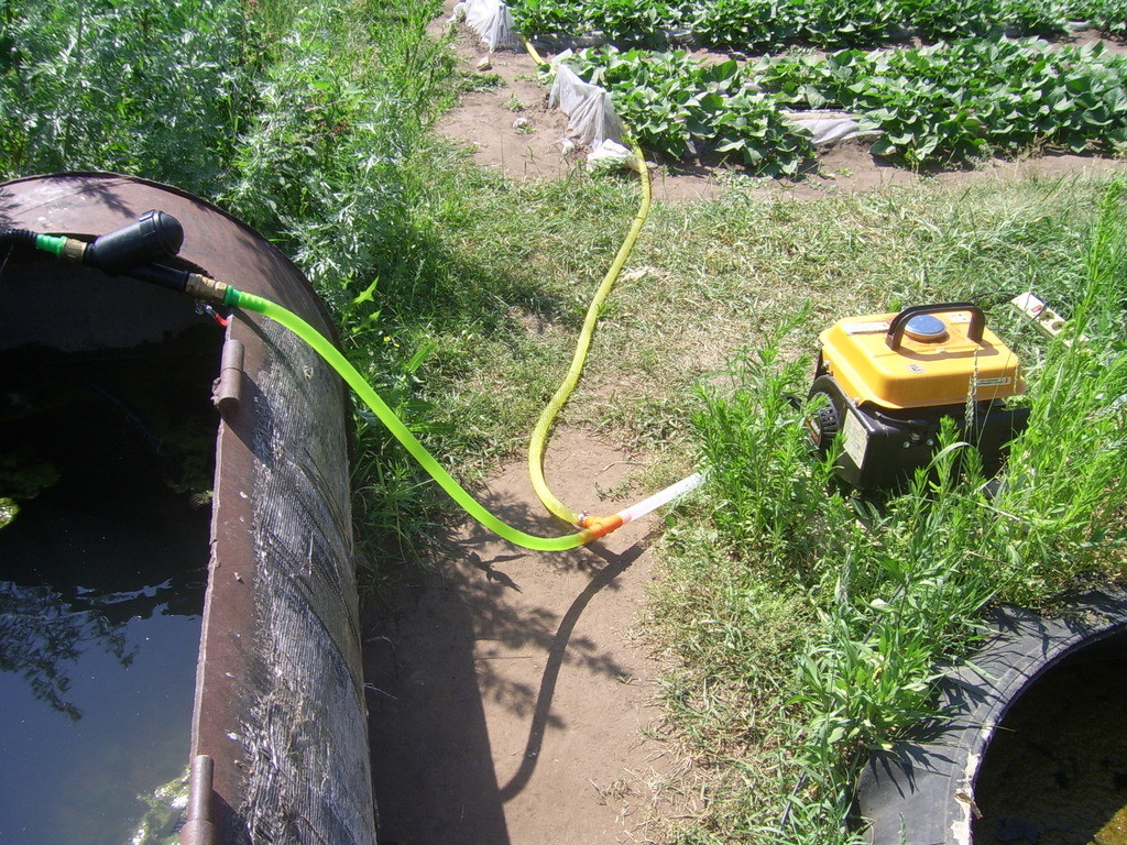 Système d'irrigation goutte à goutte de concombre fait maison