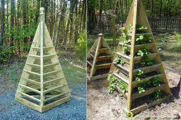 Lits verticaux pour pyramide de fraises