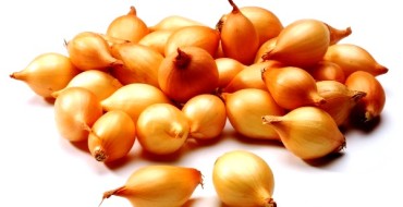 ensemble d'oignons