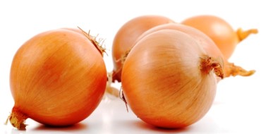 variété d'oignon Centurion
