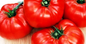 Patte d'ours aux fruits tomate