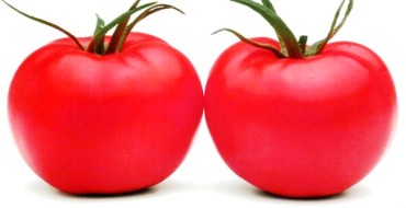 Variété hybride Pink Paradise