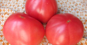 La variété secrète de tomates de grand-mère