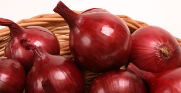 Photo de la variété d'oignon Danilovsky