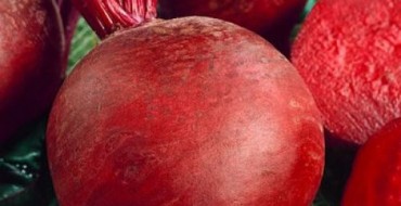 Betteraves pelées sur la photo