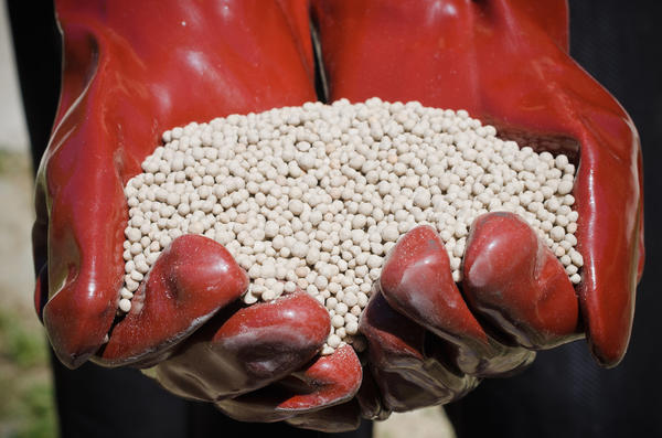 Mélanges d'aliments en main