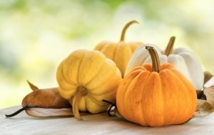 Nature morte de plusieurs citrouilles