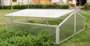 Un exemple de serre à papillons sur la photo