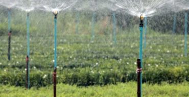 Quelles sont les caractéristiques des pulvérisateurs pour le jardin