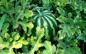 Variété de lumière sur la photo