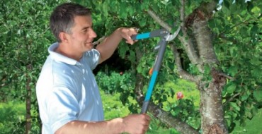 L'homme coupe les branches