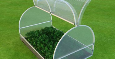 Serre papillon ouverte