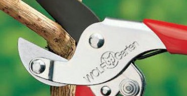 Élagueur du Jardin des Loups