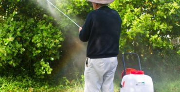 Comment faire un pulvérisateur de jardin maison fiable