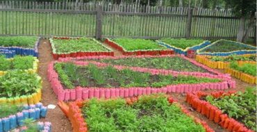 Comment faire un parterre de fleurs à partir de bouteilles de vos propres mains