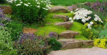 Décoration de jardin avec des plantes vivaces couvre-sol