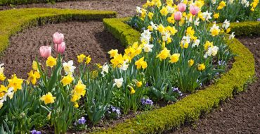 Création d'une rabatka à partir de plantes mongoles