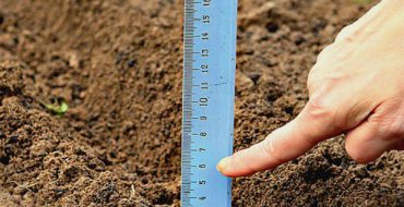 Détermination de la profondeur de plantation des dents