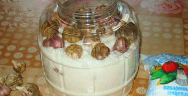 Ail dans un bocal avec du sel de table