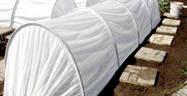 L'apparition de la serre Assemblage accordéon