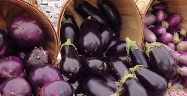Les meilleures variétés d'aubergines