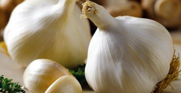 Gulliver's Shooting Ail d'hiver