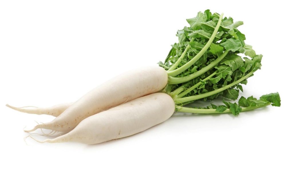 Radis daikon grade Minovase