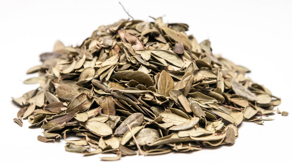 Feuille d'airelle séchée