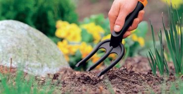 Août est une période chaude pour tous les jardiniers