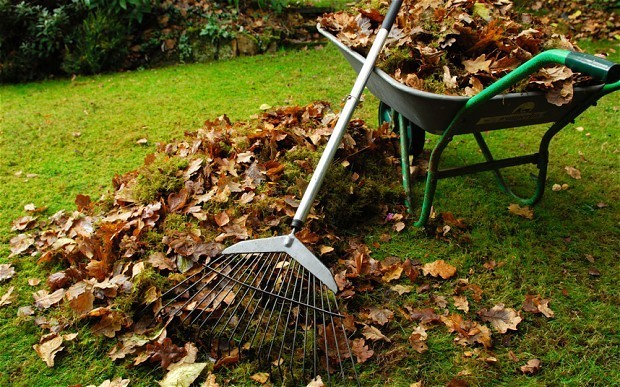 Nettoyer les feuilles mortes dans le jardin