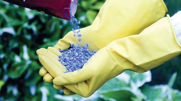 Préparer les vivaces pour l'hiver : fertiliser avec des engrais